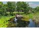 Scenic view of a lake with a wooden dock, lush greenery, and clear reflections at 9551 Lake Douglas Pl, Orlando, FL 32817