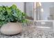 Close up on the bathroom's granite countertop and decorative plant at 10072 Sunnifa Aly, Orlando, FL 32832