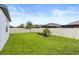 Backyard showcases lush green grass, a privacy fence, and a small palm tree at 12216 Encore At Ovation Way, Winter Garden, FL 34787