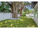 Secluded backyard with mature trees, a small pool, and lush lawn at 1780 Mizell Ave., Winter Park, FL 32789