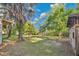 Backyard view with grass, trees, and a chicken coop in the background at 706 19Th St, Orlando, FL 32805
