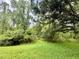 Spacious backyard with lush green grass and mature trees at 14700 Chadbury Ct, Orlando, FL 32828