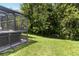 Expansive backyard with lush green grass and a screened-in hot tub area at 165 Scrub Jay Way, Davenport, FL 33896