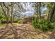 The back of the house has a screened in porch with nice foliage surrounding the perimeter at 4799 Lighthouse Rd, Orlando, FL 32808