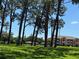 Lush community grounds with green space and mature trees near residential buildings at 5564 Slash Pine Ct # 4, Orlando, FL 32811