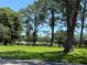 Serene park with expansive green lawn and mature shade trees creating a peaceful atmosphere at 5564 Slash Pine Ct # 4, Orlando, FL 32811