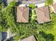 Aerial view of townhomes with manicured lawns and mature tree coverage at 725 Ashworth Overlook Dr # C, Apopka, FL 32712