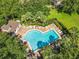 Aerial view of a community pool with lounge chairs and lush palm trees at 725 Ashworth Overlook Dr # C, Apopka, FL 32712