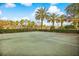 Outdoor basketball court surrounded by palm trees, offering a recreational space within the community at 1275 Lake Shadow Cir # 13106, Maitland, FL 32751