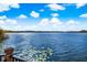 Picturesque lakeside view showcasing serene waters and lily pads, perfect for tranquil contemplation at 1275 Lake Shadow Cir # 13106, Maitland, FL 32751