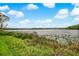 Scenic lake view with lush green grass in foreground, a beautiful landscape view for nature lovers at 1275 Lake Shadow Cir # 13106, Maitland, FL 32751