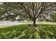 Expansive backyard featuring a mature tree and scenic lake views at 2512 Chapala Dr, Kissimmee, FL 34746