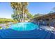 A backyard pool surrounded by palms and a deck with beautiful views of the canal at 418 Acacia Cir, Port Orange, FL 32127