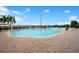 A large swimming pool with palm trees and lounge chairs at 1104 Sawgrass Dr, Winter Haven, FL 33884