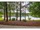 Picturesque pond view framed by mature trees, offering a serene and natural backdrop at 14128 Avenue Of The Grvs, Winter Garden, FL 34787