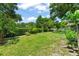 Well-maintained backyard with lush lawn, mature trees and a privacy hedge at 1924 Summerfield Rd, Winter Park, FL 32792