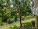 View of fenced backyard space with mature trees and landscaping, perfect for enjoying nature at 1941 Sunset Palm Dr, Apopka, FL 32712