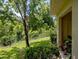 View of fenced backyard space with mature trees and landscaping, perfect for enjoying nature at 1941 Sunset Palm Dr, Apopka, FL 32712