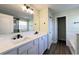 Bathroom features a large mirror above the double sink vanity, with a door leading to the shower and tub at 2183 Leather Fern Dr, Ocoee, FL 34761