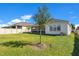 Expansive backyard showcasing a lush lawn, privacy fence, and a mature tree, offering a serene outdoor environment at 913 Sabal Breeze Ln, Apopka, FL 32703