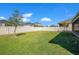 Spacious backyard featuring lush green grass and a privacy fence, ideal for outdoor activities and relaxation at 913 Sabal Breeze Ln, Apopka, FL 32703