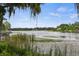Picturesque lake view featuring lush vegetation and a tranquil horizon at 1394 Grove Ter, Winter Park, FL 32789