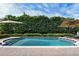 Backyard pool with patio, sun umbrellas, lounge chairs, and privacy landscaping at 1394 Grove Ter, Winter Park, FL 32789