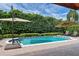 Backyard pool with patio, sun umbrellas, lounge chairs, and privacy landscaping at 1394 Grove Ter, Winter Park, FL 32789