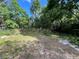 Natural backyard setting; partially cleared property amongst mature trees at 2107 Hollywood Ave, Eustis, FL 32726