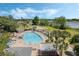 Aerial view of the large community pool area, surrounded by lounge chairs, palm trees, and a lake view at 25105 Laurel Valley Rd, Leesburg, FL 34748
