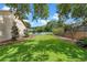 Spacious backyard with green grass, well-maintained landscaping and privacy fence at 3618 Pompano Ct, Gotha, FL 34734