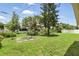 Backyard with scattered growth, palm trees, and a chain link fence at 4611 Cranston Pl, Orlando, FL 32812