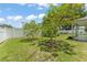 Lush backyard with mature trees and a white fence, featuring a well-maintained lawn at 470 Cardinal Ct, Kissimmee, FL 34759