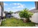 The backyard features an outdoor kitchen, a well-manicured lawn, and a white fence at 654 Star Magnolia Dr, Kissimmee, FL 34744