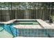Close-up of the in-ground spa with blue tile, set within a screened enclosure and bamboo surround at 8066 Ludington Cir, Orlando, FL 32836
