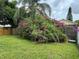 Lush backyard featuring a beautiful bougainvillea and green grass at 9923 Dean Acre Dr, Orlando, FL 32825