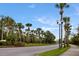 Scenic street lined with tall palm trees and manicured grass under a clear blue sky at 1269 Long Cove Loop # 1269, Davenport, FL 33896