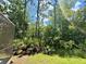 Lush backyard showcasing a natural landscape with trees and greenery, bordering the screened-in pool enclosure at 14715 Buckingham Gate Ct, Orlando, FL 32828