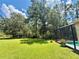 Lush backyard showcasing mature trees and a screened-in pool area for outdoor enjoyment and privacy at 14715 Buckingham Gate Ct, Orlando, FL 32828