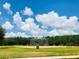Full community baseball field view with green grass, chainlink backstop, and treeline against a bright blue sky at 14715 Buckingham Gate Ct, Orlando, FL 32828