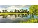 Beautiful community golf course view with a tranquil pond reflecting trees and blue sky at 14715 Buckingham Gate Ct, Orlando, FL 32828