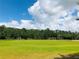 Expansive community soccer field with two goal nets and lush green grass, surrounded by trees at 14715 Buckingham Gate Ct, Orlando, FL 32828