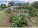 A view of the community garden with healthy plants and blue flowers, fenced and well maintained with healthy green plants at 164 Royal Palm Dr, Leesburg, FL 34748
