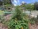 A view of the community garden with healthy, leafy plants with orange flowers and squash hanging from a metal support structure at 164 Royal Palm Dr, Leesburg, FL 34748