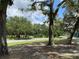 Picturesque community park featuring lush greenery, mature trees, and recreational areas for residents at 164 Royal Palm Dr, Leesburg, FL 34748