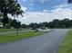 Golf cart traveling down the paved road of a well-maintained community with lush green landscaping at 164 Royal Palm Dr, Leesburg, FL 34748