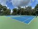 Community tennis courts with blue surface, green perimeter, surrounded by lush trees and blue skies at 164 Royal Palm Dr, Leesburg, FL 34748