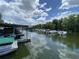 Scenic waterfront view with boat docks for residents to enjoy boating and leisure activities at 164 Royal Palm Dr, Leesburg, FL 34748