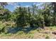 Scenic creek in wooded backyard of home at 917 Great Bend Rd, Altamonte Springs, FL 32714
