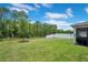 Large backyard featuring a well-manicured lawn and tree line along the fence at 9426 Launch Point Rd, Orlando, FL 32832
